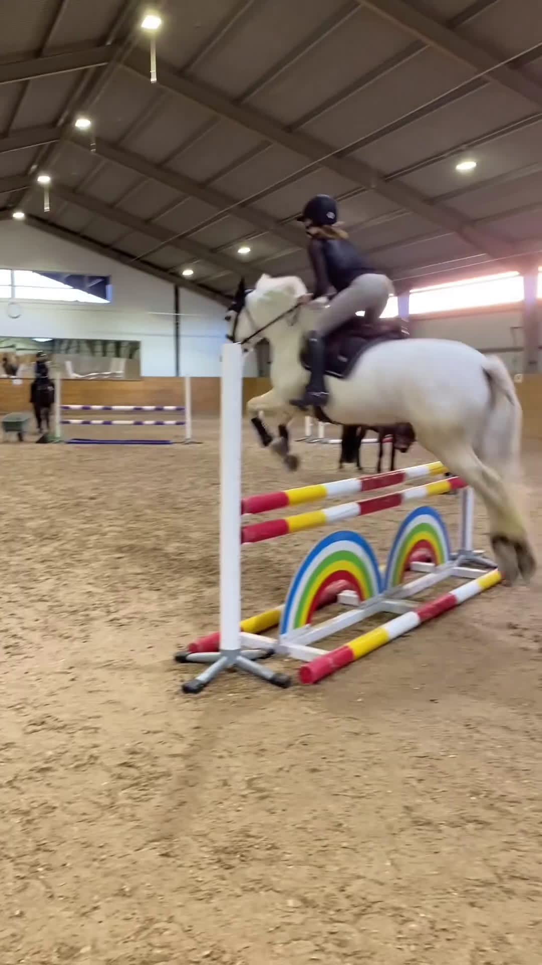 Allround hästar till salu: Drömponny redo för nya äventyr 🦄 i Vallda - Video 1