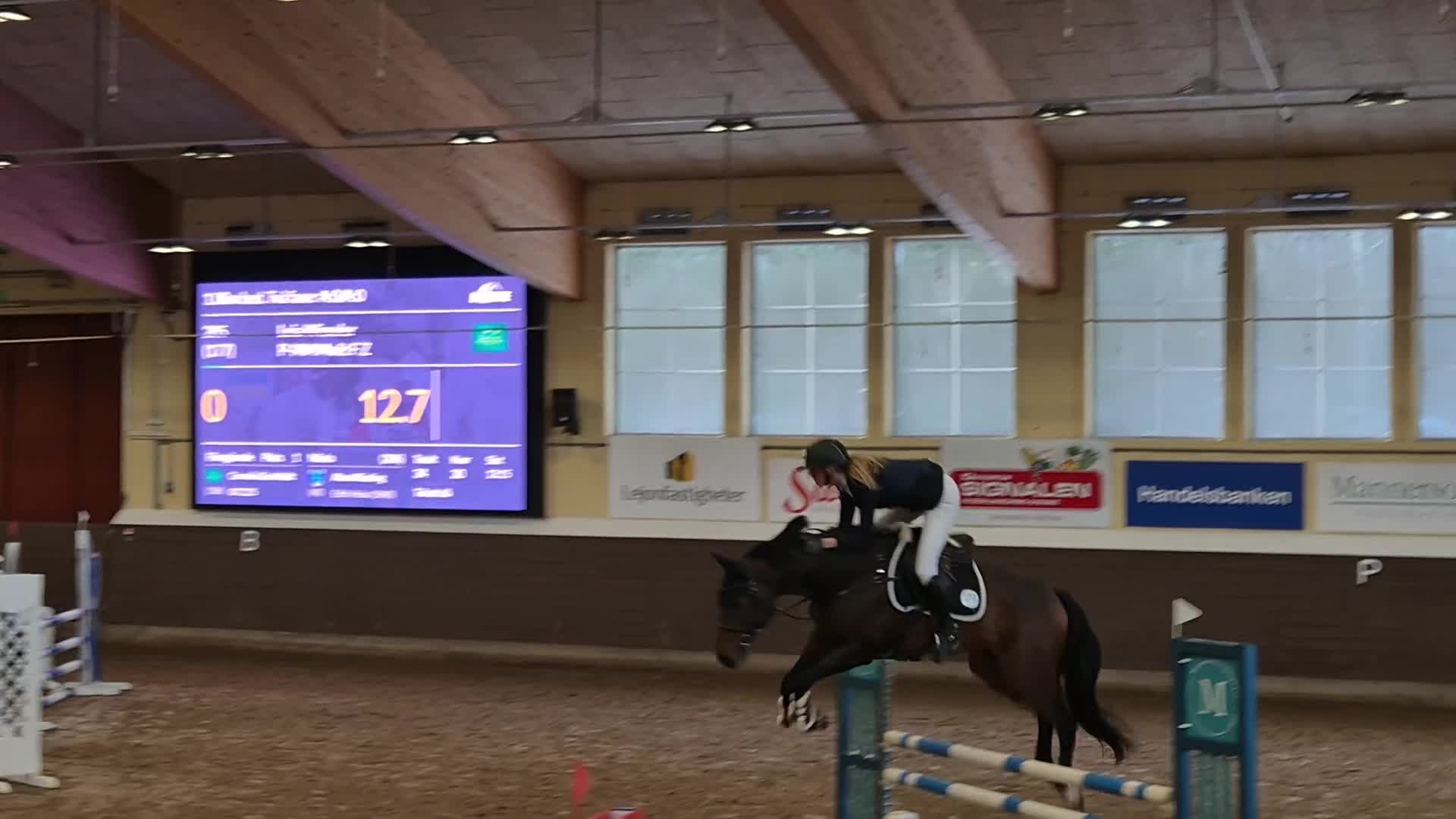 Hoppning hästar till salu: Snygg valack söker ny ryttare - Video 1