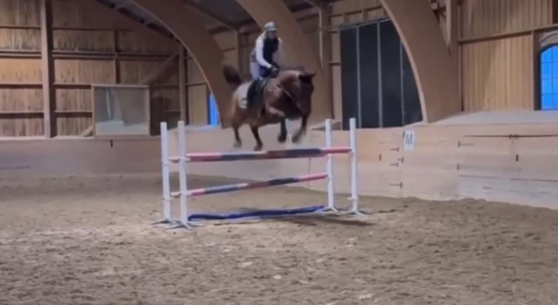 Hoppning hästar till salu: Trevlig valack för hoppning alternativt fälttävlan i Örebro - Video 2