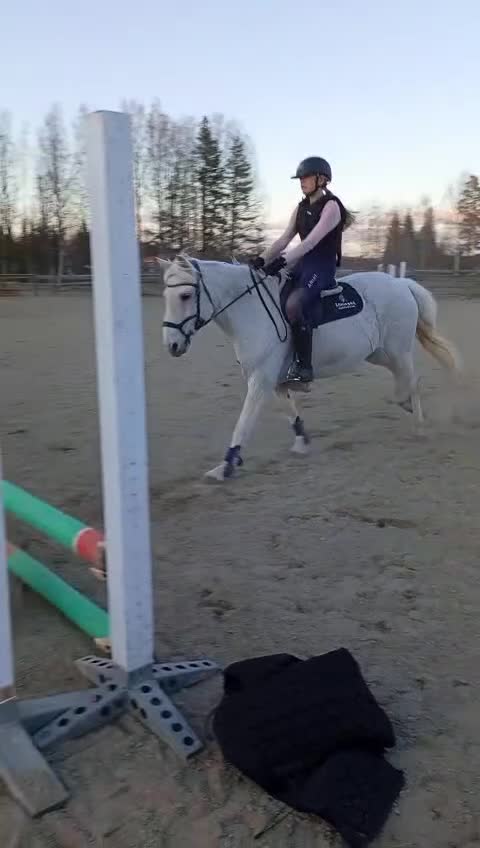 Allround hästar sökes: Söker snäll och mysig häst - Video 3