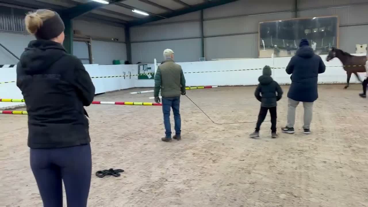 Hoppning hästar till salu: Trevlig tävlingshäst  - Video 3
