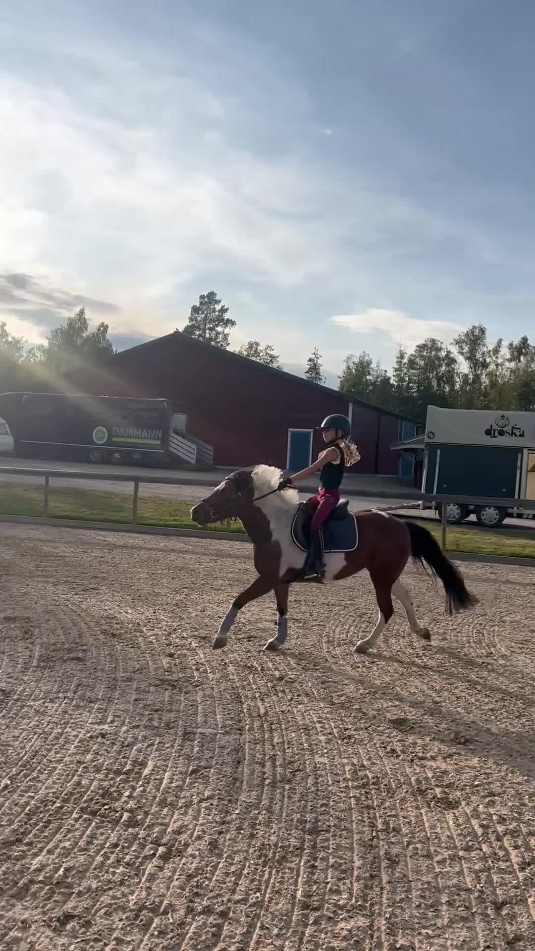 Allround hästar till salu: Thelma - 🩷 i Enköping - Video 1