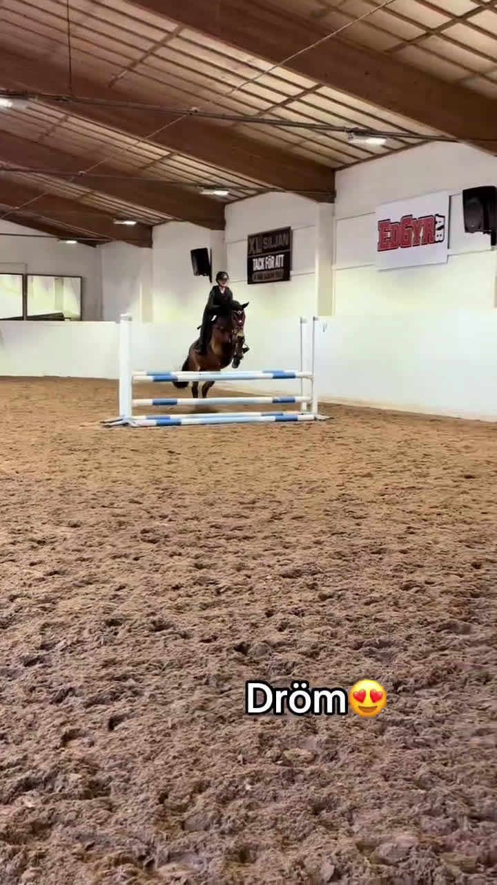 Allround hästar till salu: Bestämd dam med en räv bakom örat i Rättvik - Video 2