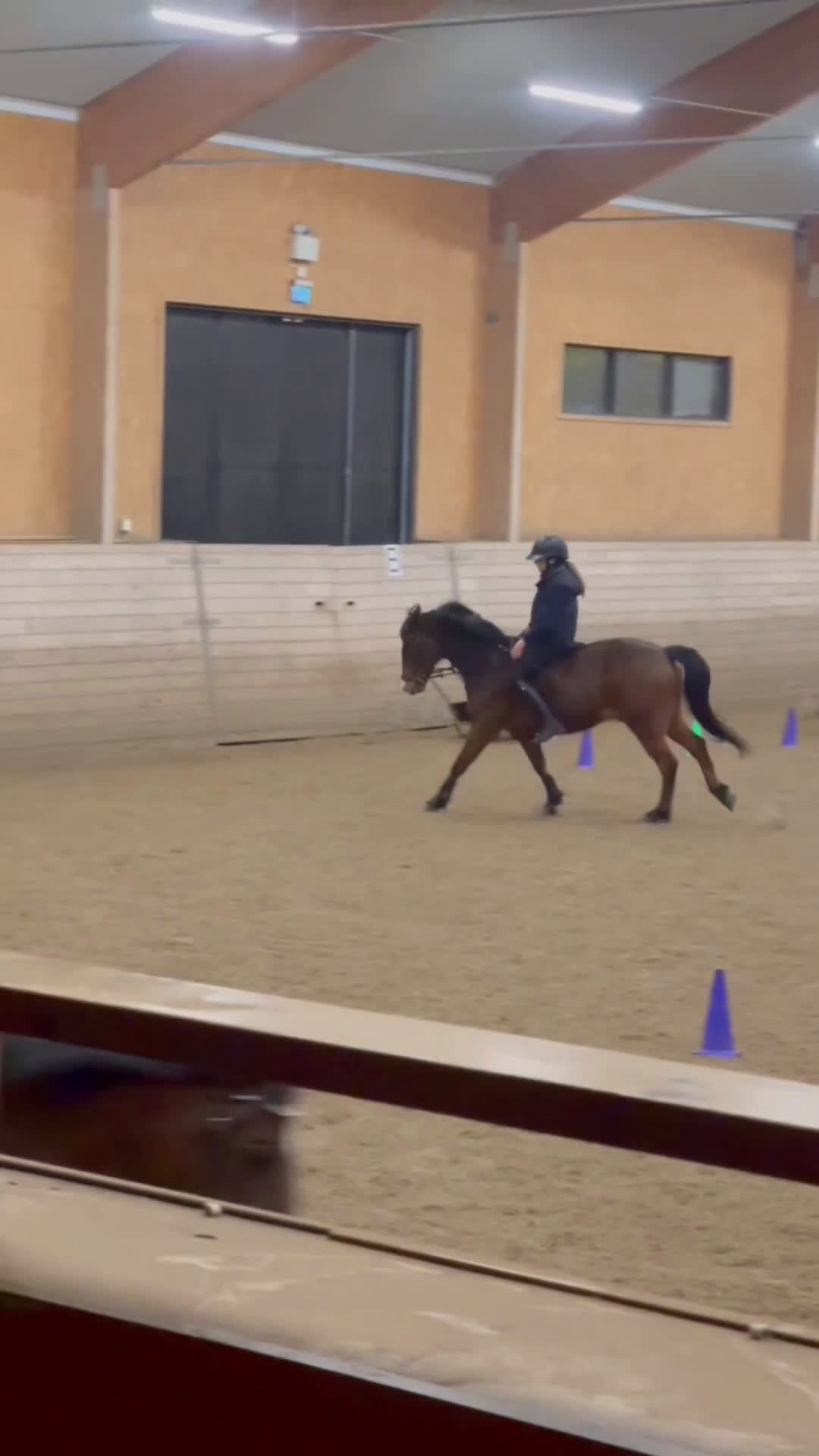  medryttarhäst sökes: Söker häst/ponny för satsning  i Skärholmen - Video 1