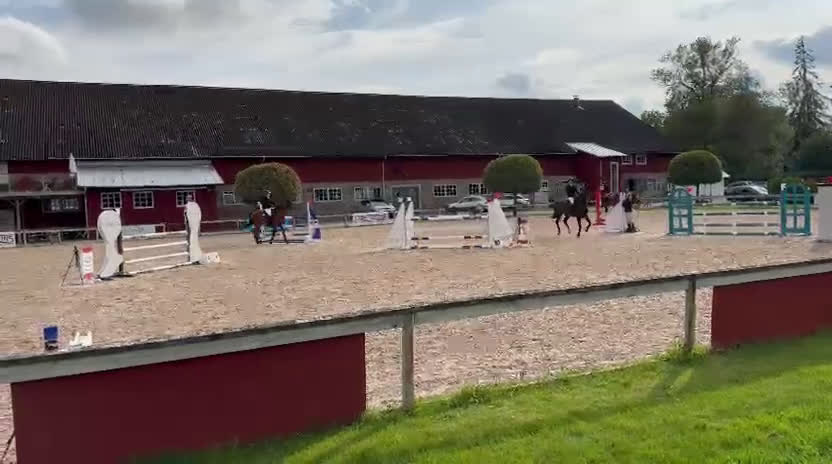 Hoppning hästar till salu: Trevligt sto som älskar att hoppa! i Uppsala - Video 1