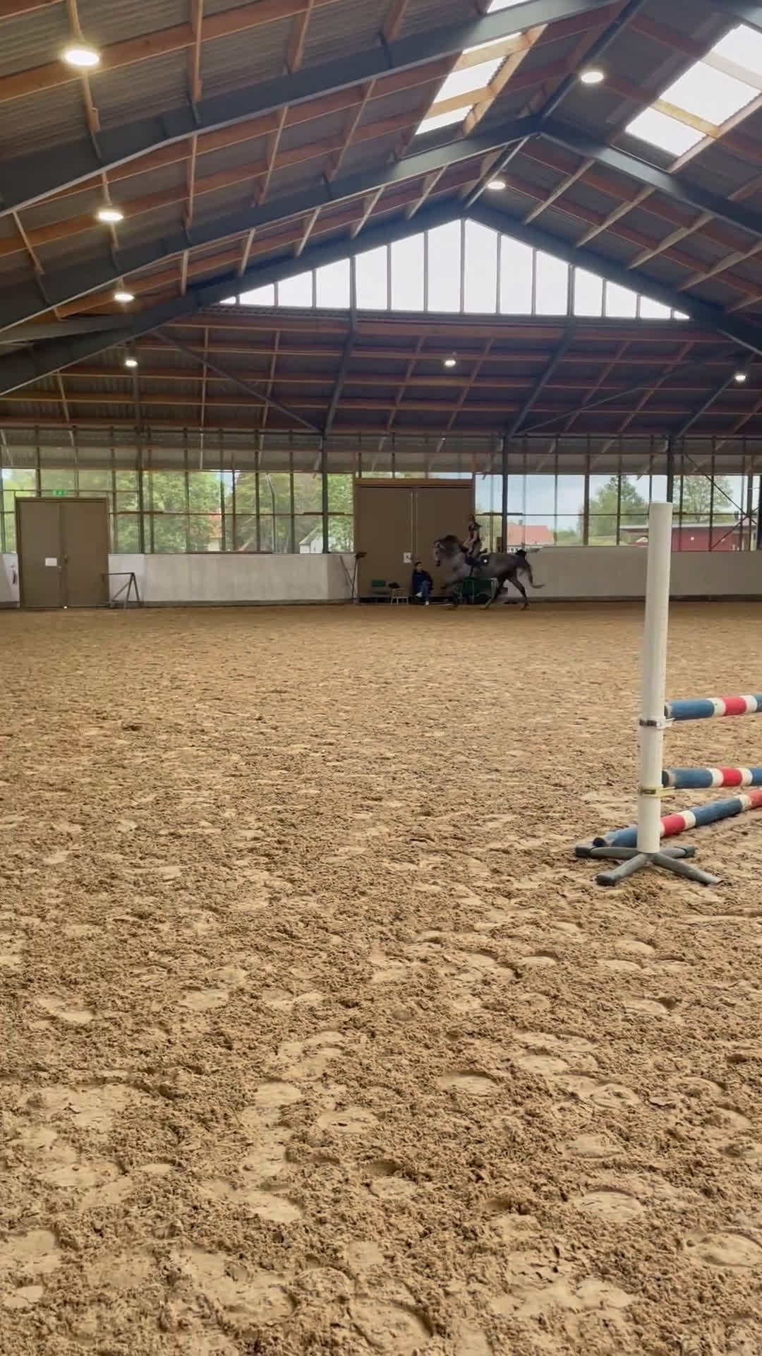 Hoppning hästar till salu: Toppstammad valack  - Video 1