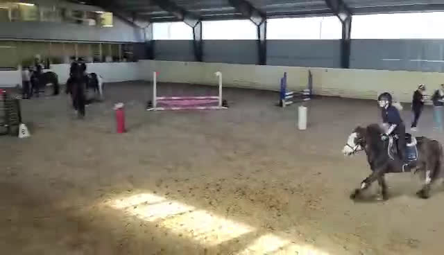 Allround hästar till salu: Bobby längtar efter ett egnet hem - Video 2