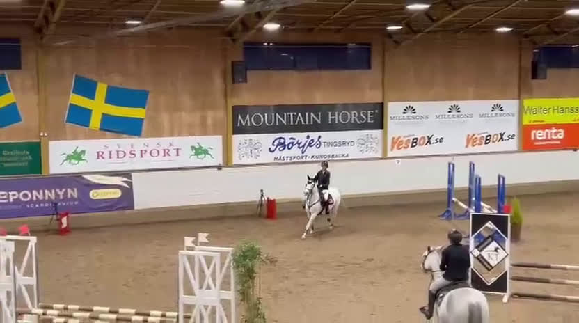 Hoppning hästar till salu: ✨️ Snygg utvecklingsbar Connemara ✨️ - Video 1