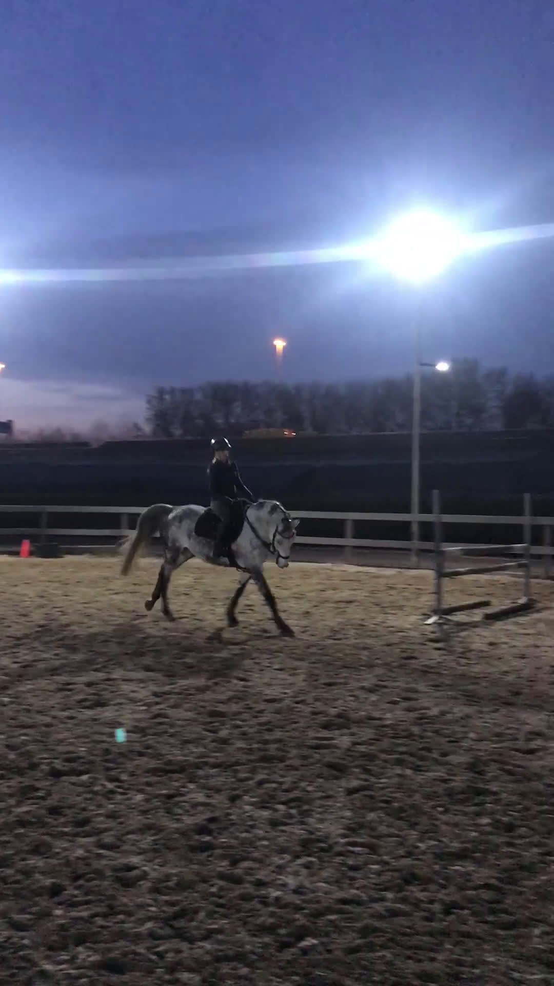 Allround hästar till salu: Min älskade Pärlan 🩷 i Ullared - Video 1