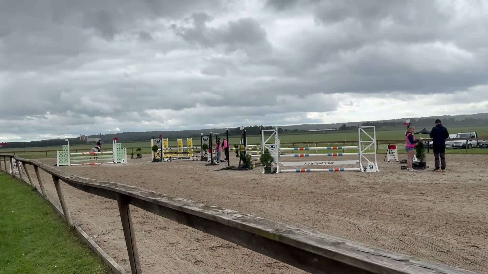 Hoppning hästar till salu: Snyggt connemarasto för de högsta klasserna - Video 2