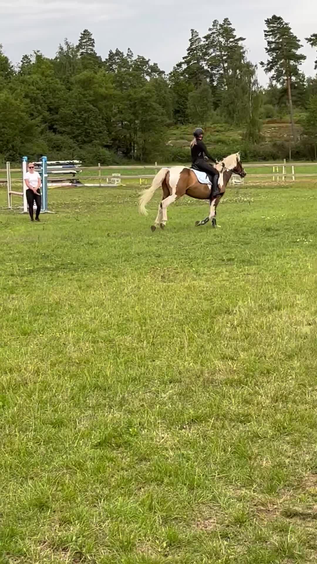 Allround hästar till salu: Vacker guldklimp till salu🌟 i Jämjö - Video 1