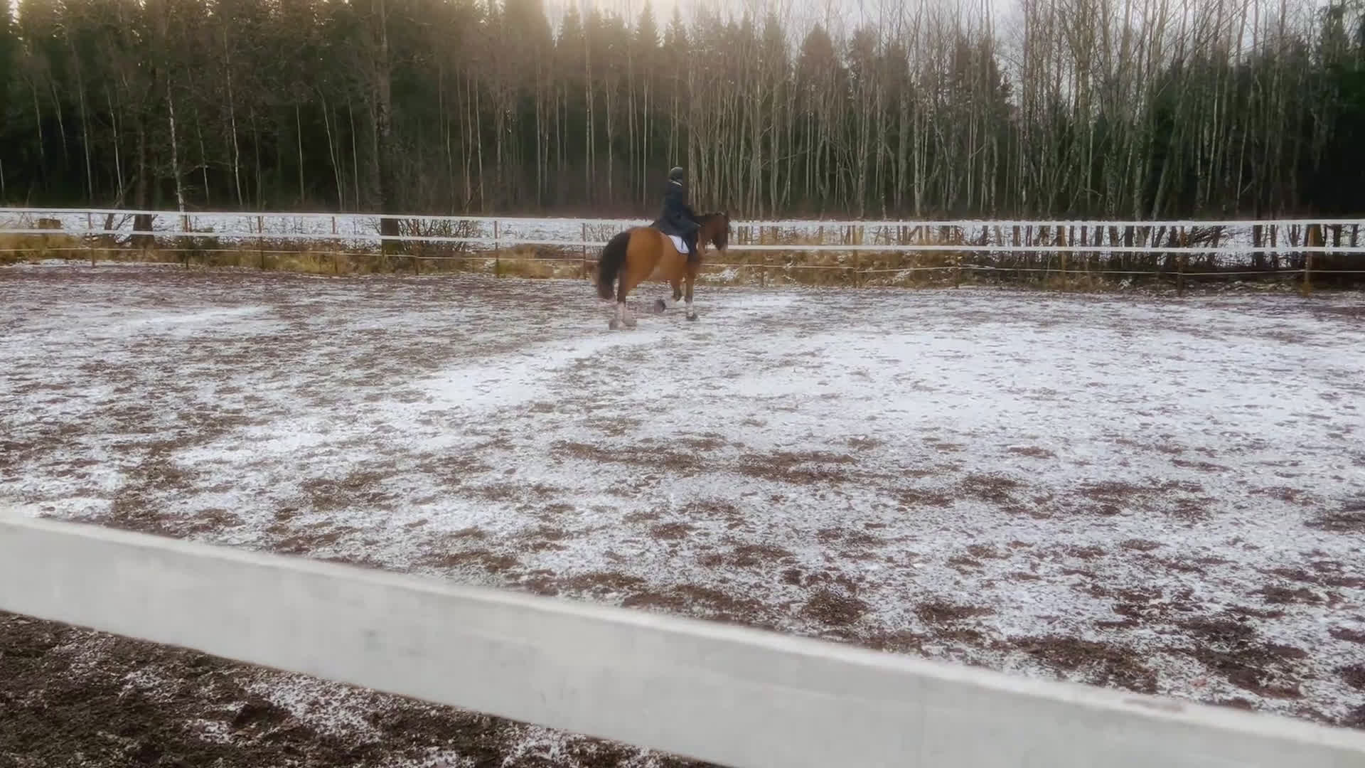 Allround hästar till salu: Fantastisk valack och bästa vän!  i Rottneros - Video 2