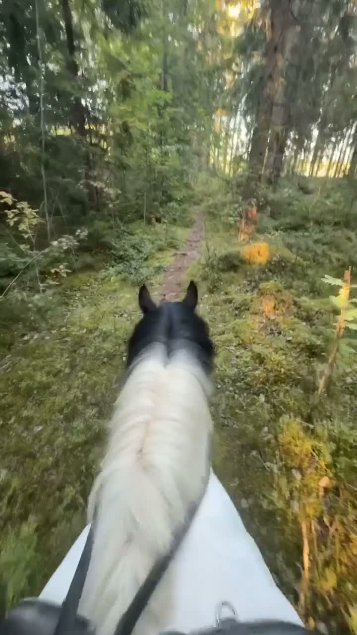  stallplats finnes: 1 Boxplats uthyres i Söderbärke - Video 1