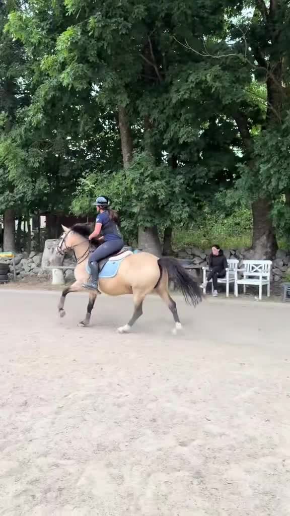 Hoppning hästar till salu: Hoppglad ponny med egen vilja & stor personlighet - Video 2