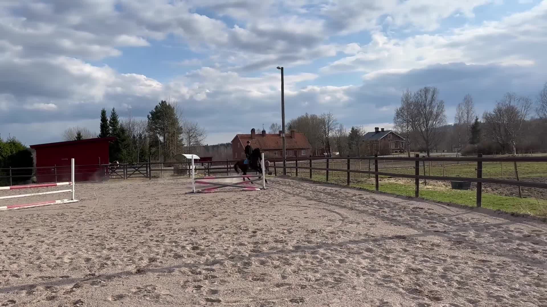 Allround hästar till salu: Fint och trevligt sto - Video 1