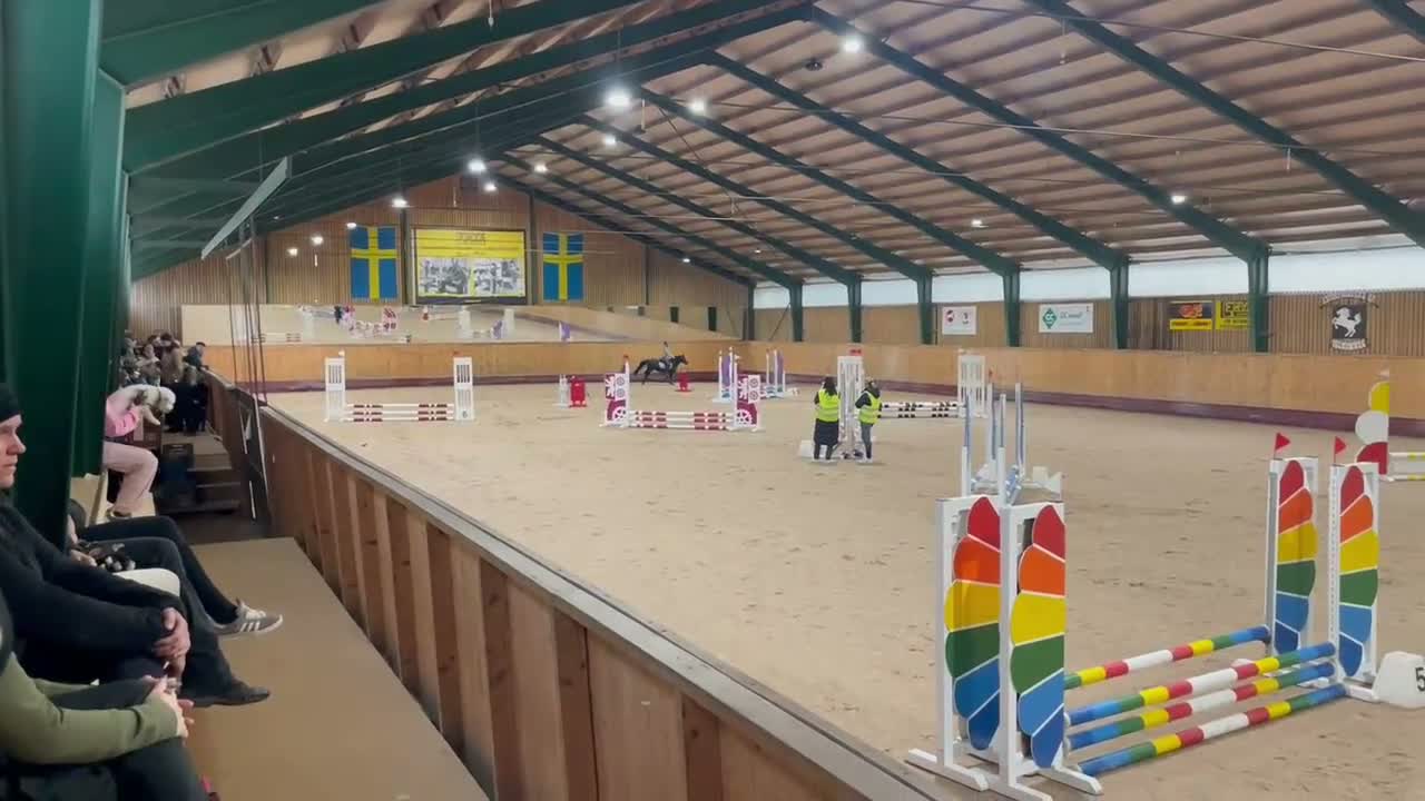 Allround hästar till salu: Fin hoppponny kat B - Video 1