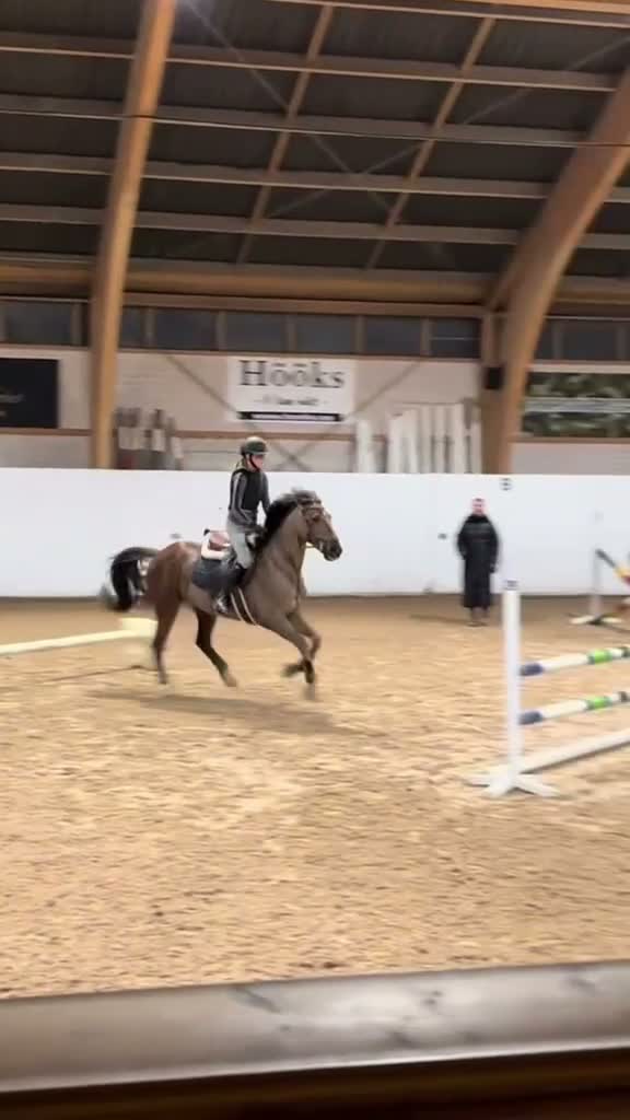  medryttarhäst sökes: Medryttarhäst sökes  - Video 2