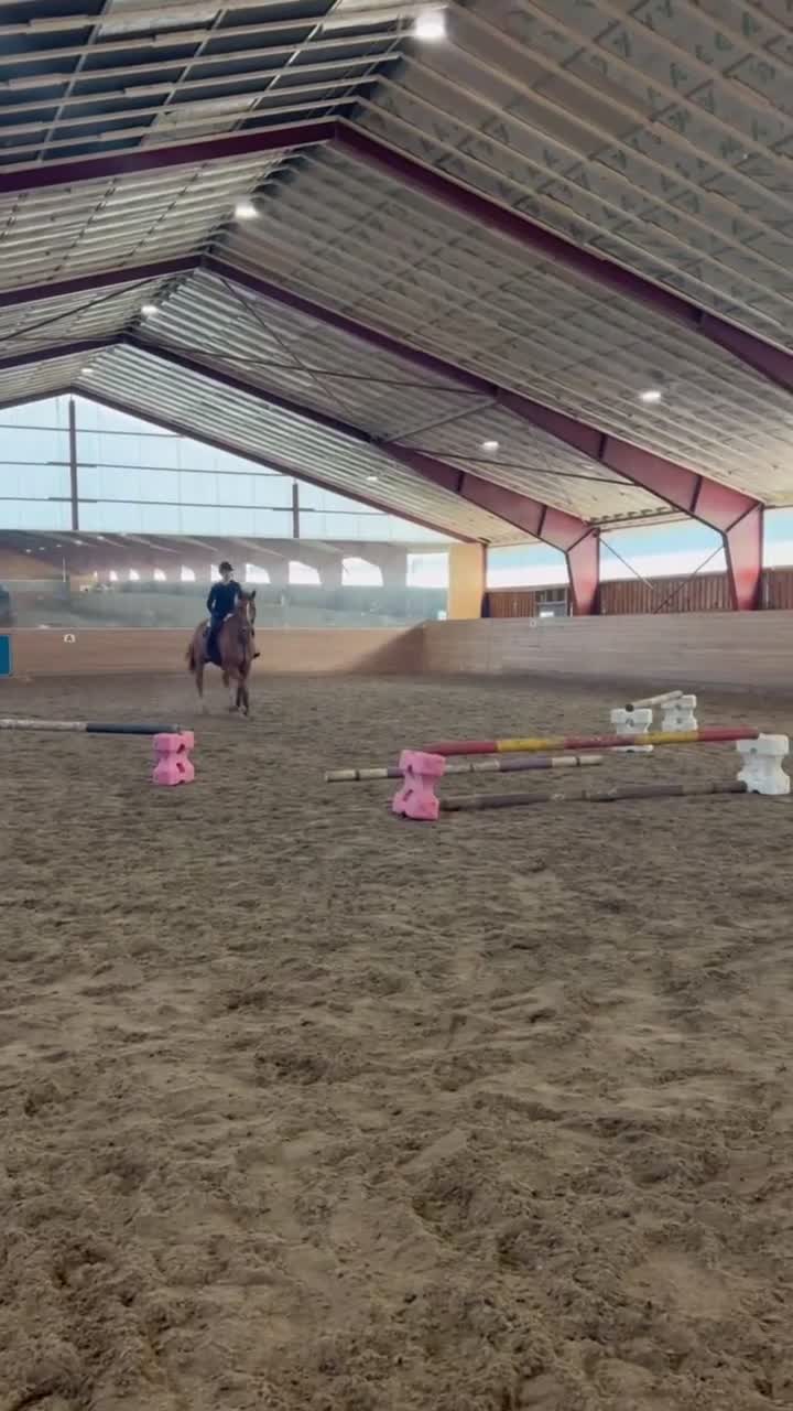 Allround hästar till salu: ⭐️ Trygg valack med power för hoppning ⭐️ - Video 3