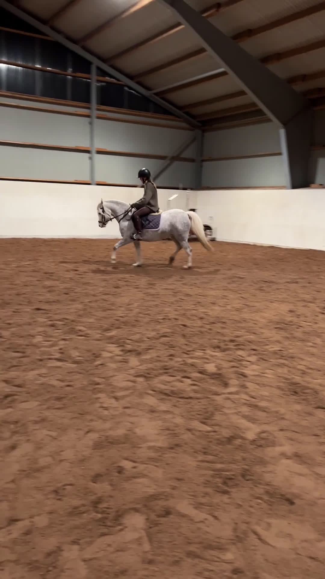 Allround hästar till salu: Vackert Welsh ponnysto  i Lyrestad - Video 5