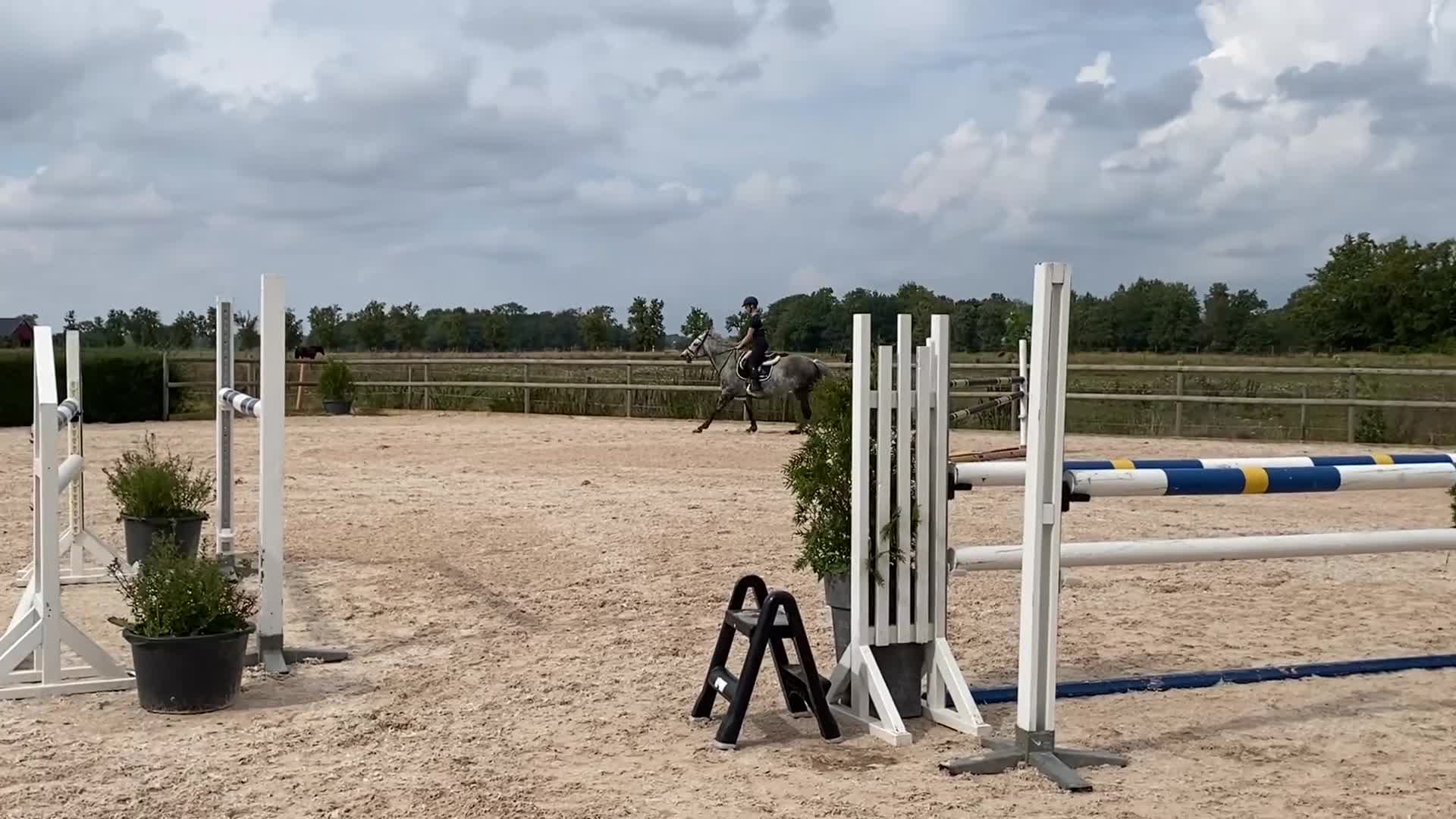 Hoppning hästar till salu: Superfint SWB sto med kapacitet - Video 1