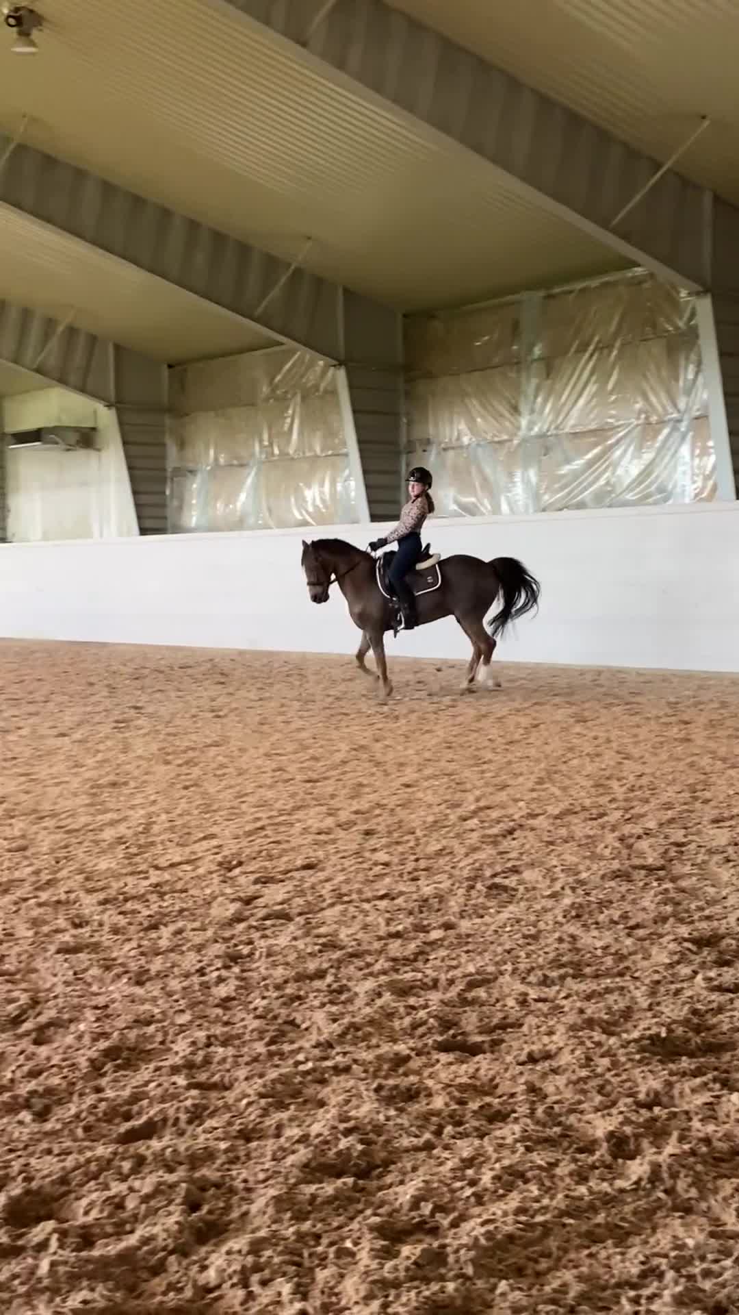 Dressyr hästar till salu: SM ponny och läromästare med stort ❤️ - Video 5