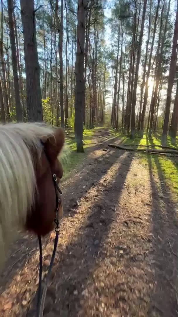  stallplats finnes: Stallplats mellan Lomma och Bjärred  - Video 1