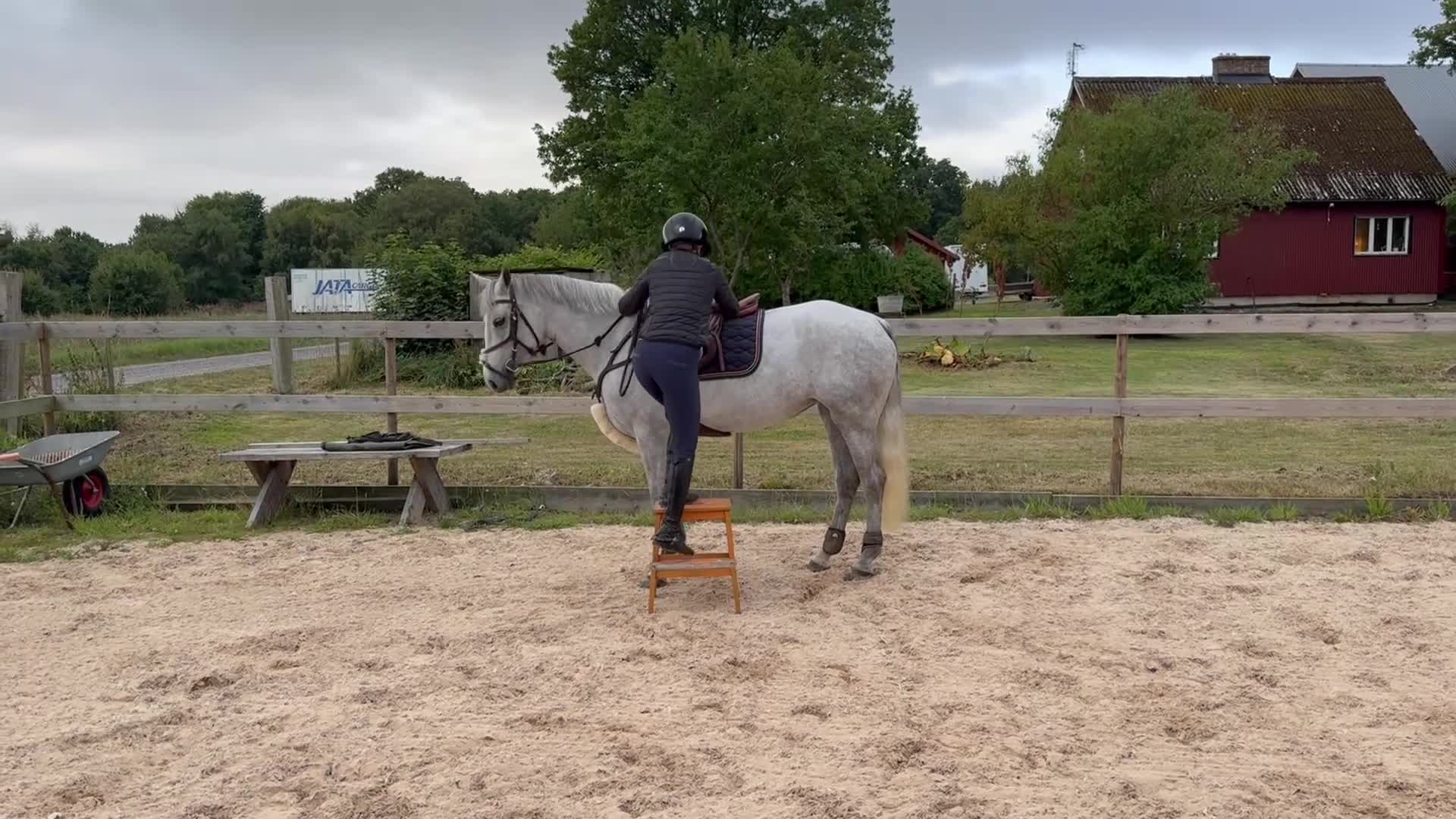 Allround hästar till salu: TREVLIG ALLROUND PONNY 🩷 - Video 1