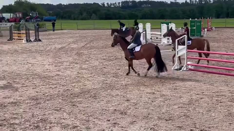 Hoppning hästar till salu: Trevligt hoppsto – Vinst i DM (115) och felfri 120 - Video 1