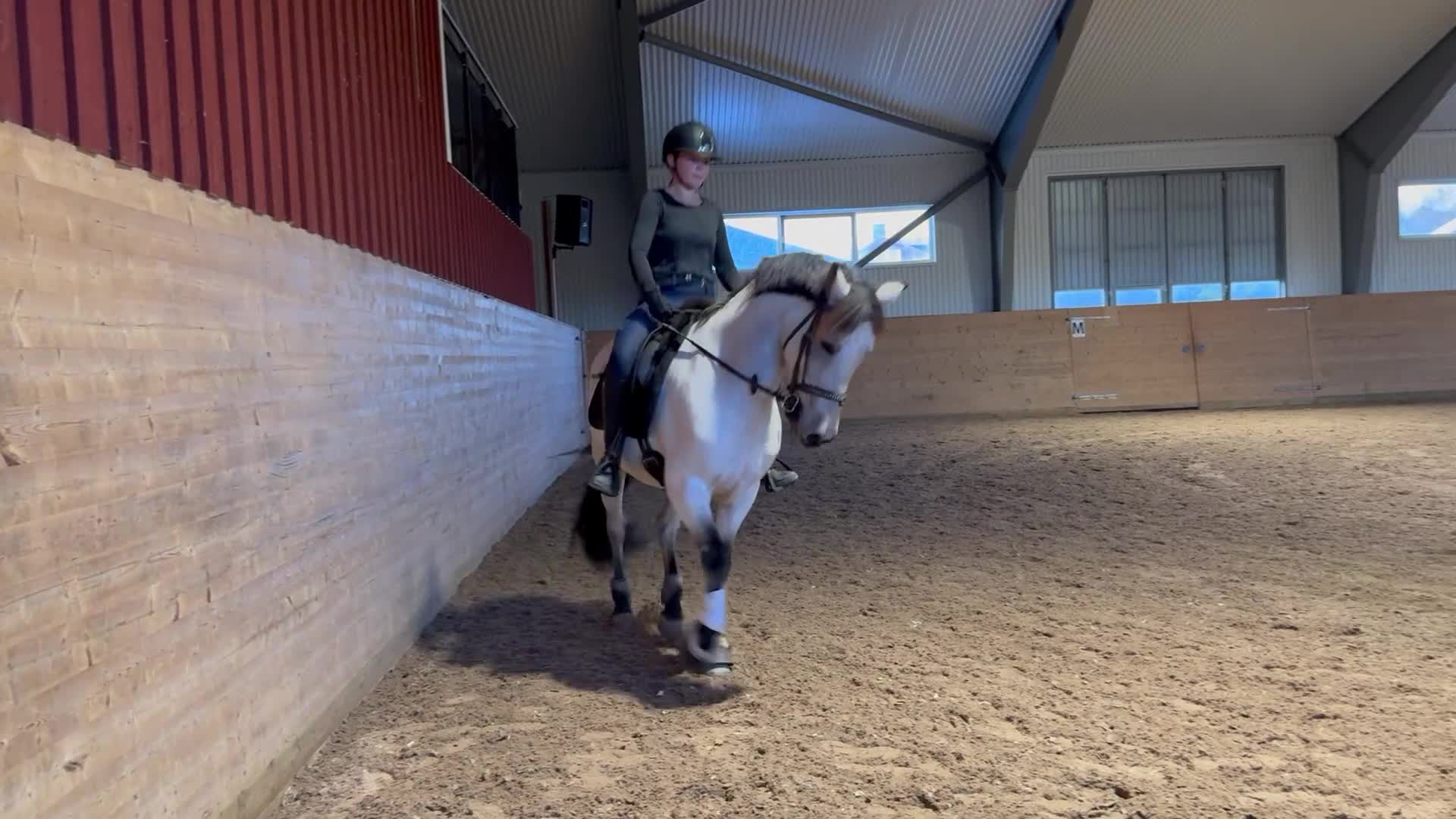 Allround hästar till salu: Rutinerad snygg maxad D-ponny som är med på allt - Video 2