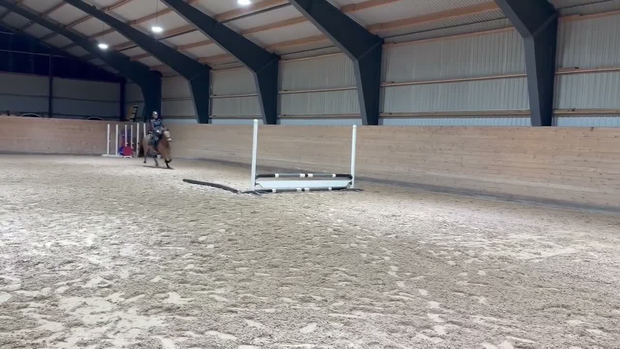 Allround hästar till salu: Superhärlig ungponny!❣️ - Video 2