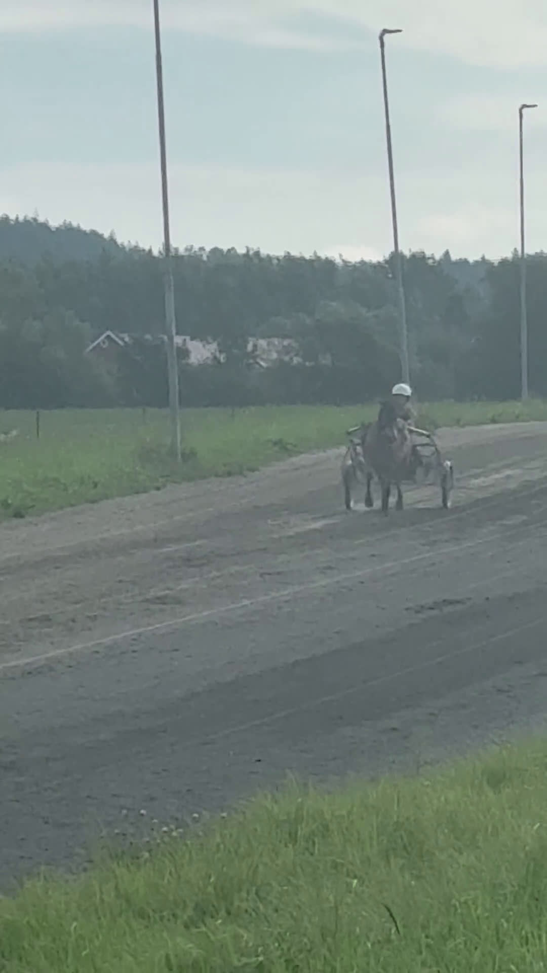Trav hästar till salu: Allround/ponnytrav/ Diplomsto  - Video 2