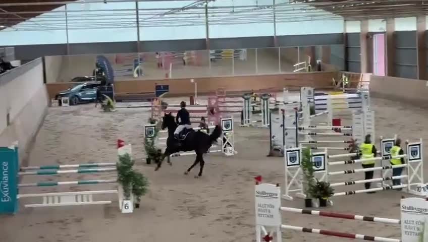 Hoppning hästar till salu: Trevlig häst för de stora klasserna - Video 4