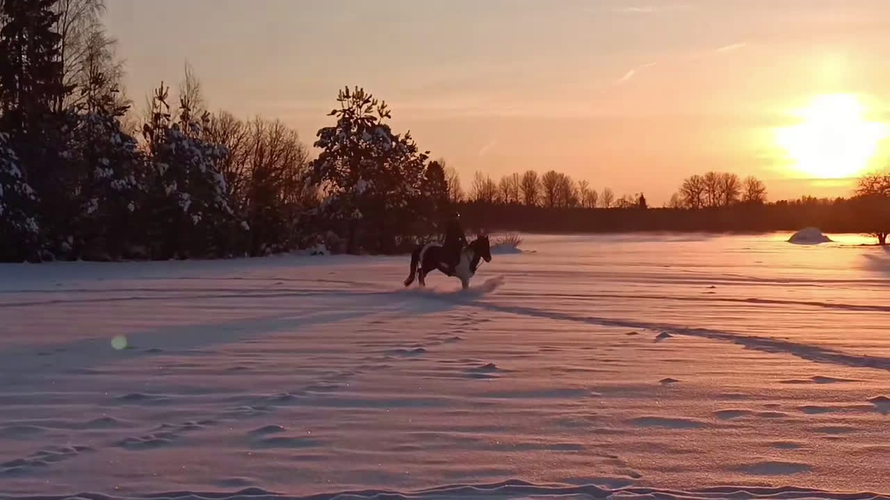  avel finnes: Sam's Maverick  - Video 1