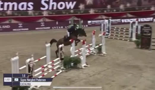 Hoppning hästar till salu: 8 års hoppe efter Chacfly PS🤩 i Gilleleje - Video 1