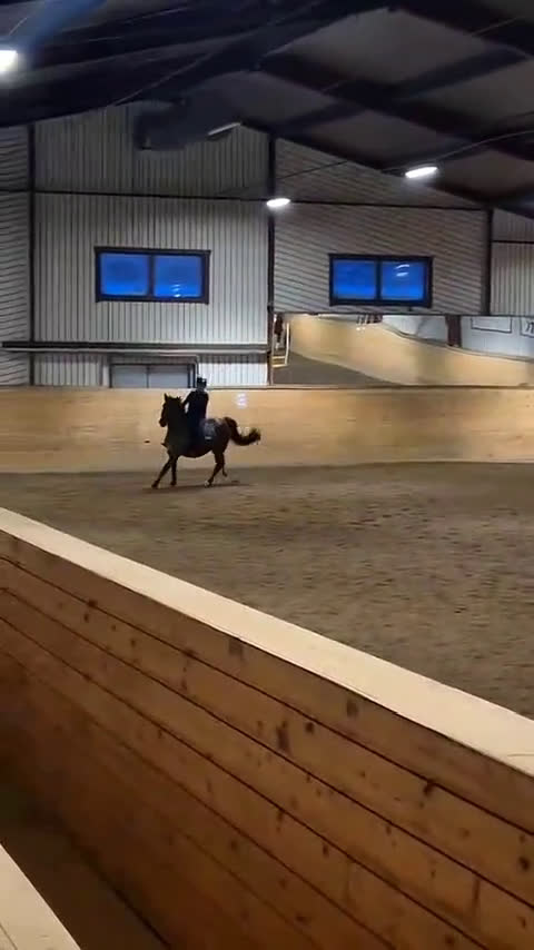 Allround hästar sökes: !Medryttarhäst sökes! i Sundsvall - Video 1