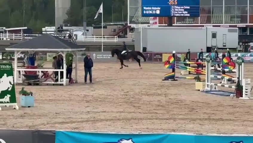 Hoppning hästar till salu: En valack som syns i mängden  i Linköping - Video 1