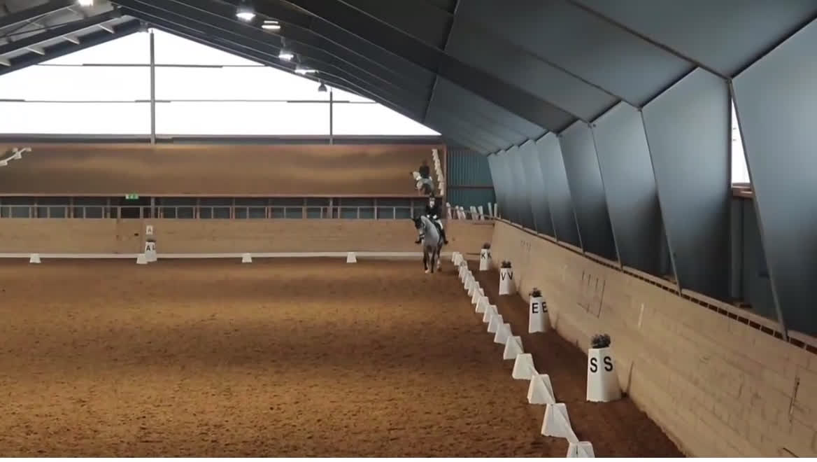 Dressyr hästar till salu: För evigt hem sökes i Norrköping - Video 2