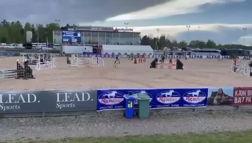 Hoppning hästar till salu: Stjärnponnyn söker sitt nya hem 💖 - Video 2