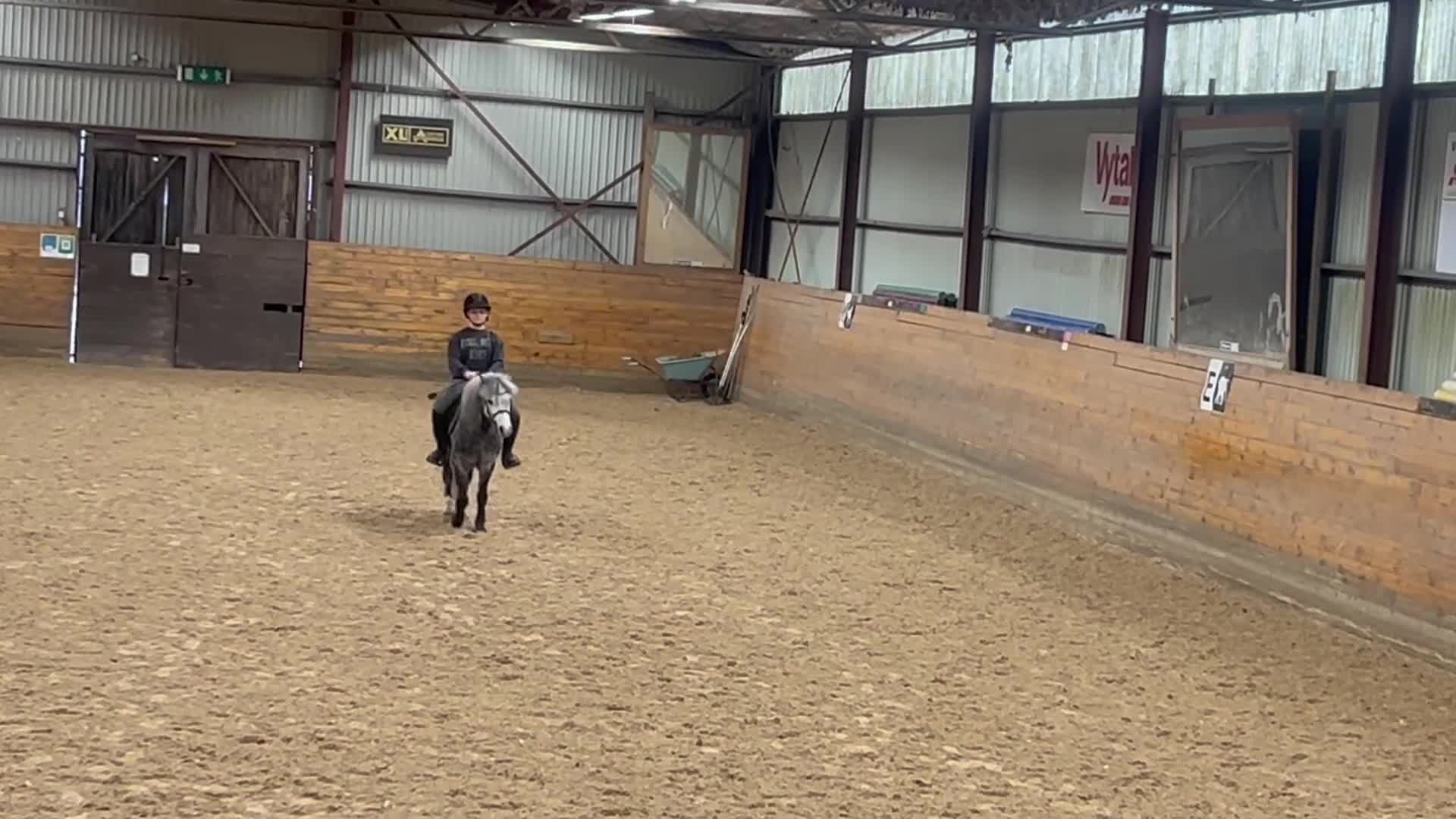 Allround hästar till salu: Söt welshponny  i Vingåker - Video 2