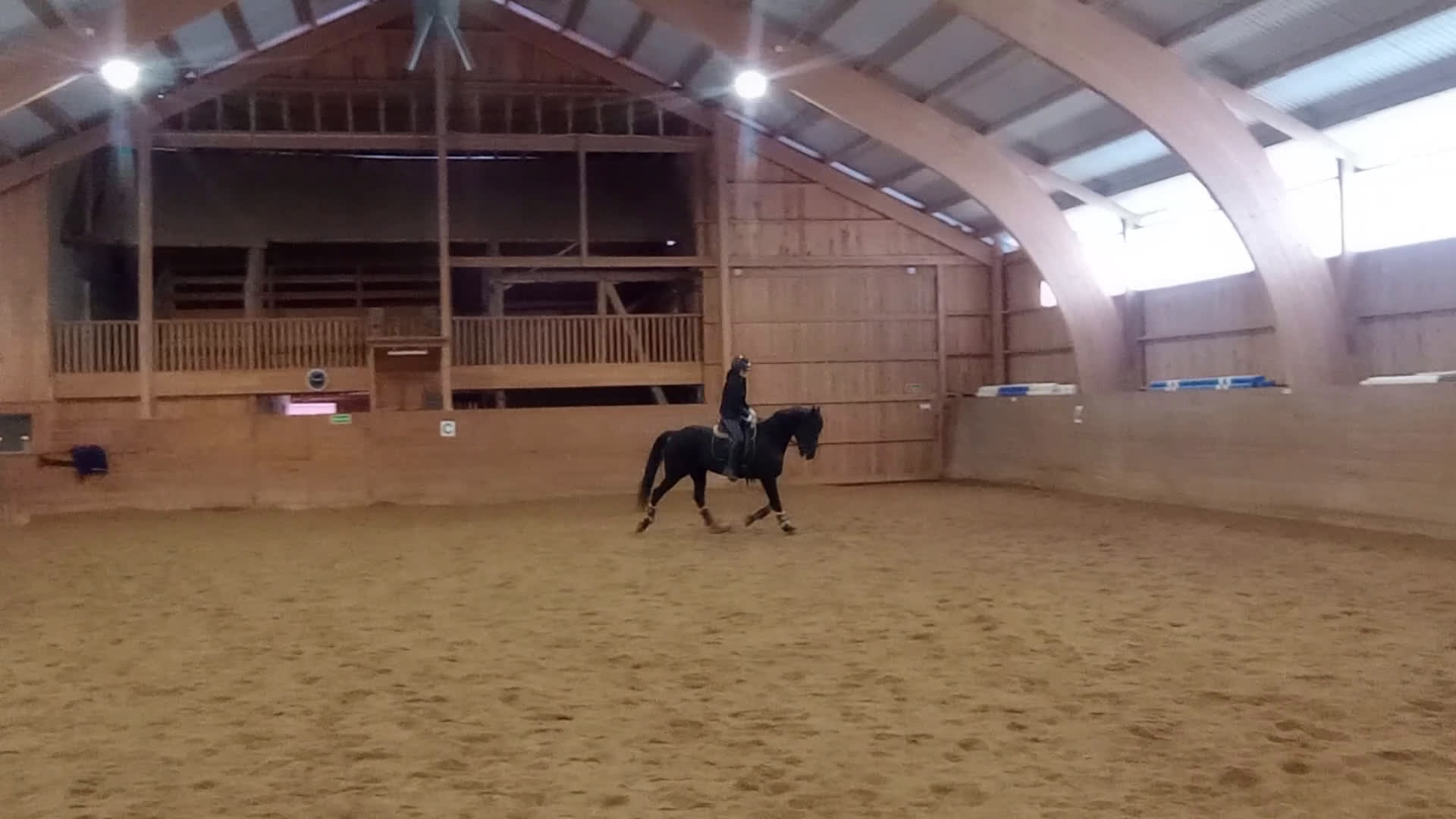 Allround hästar till salu: Superfin ridtravare - Video 1