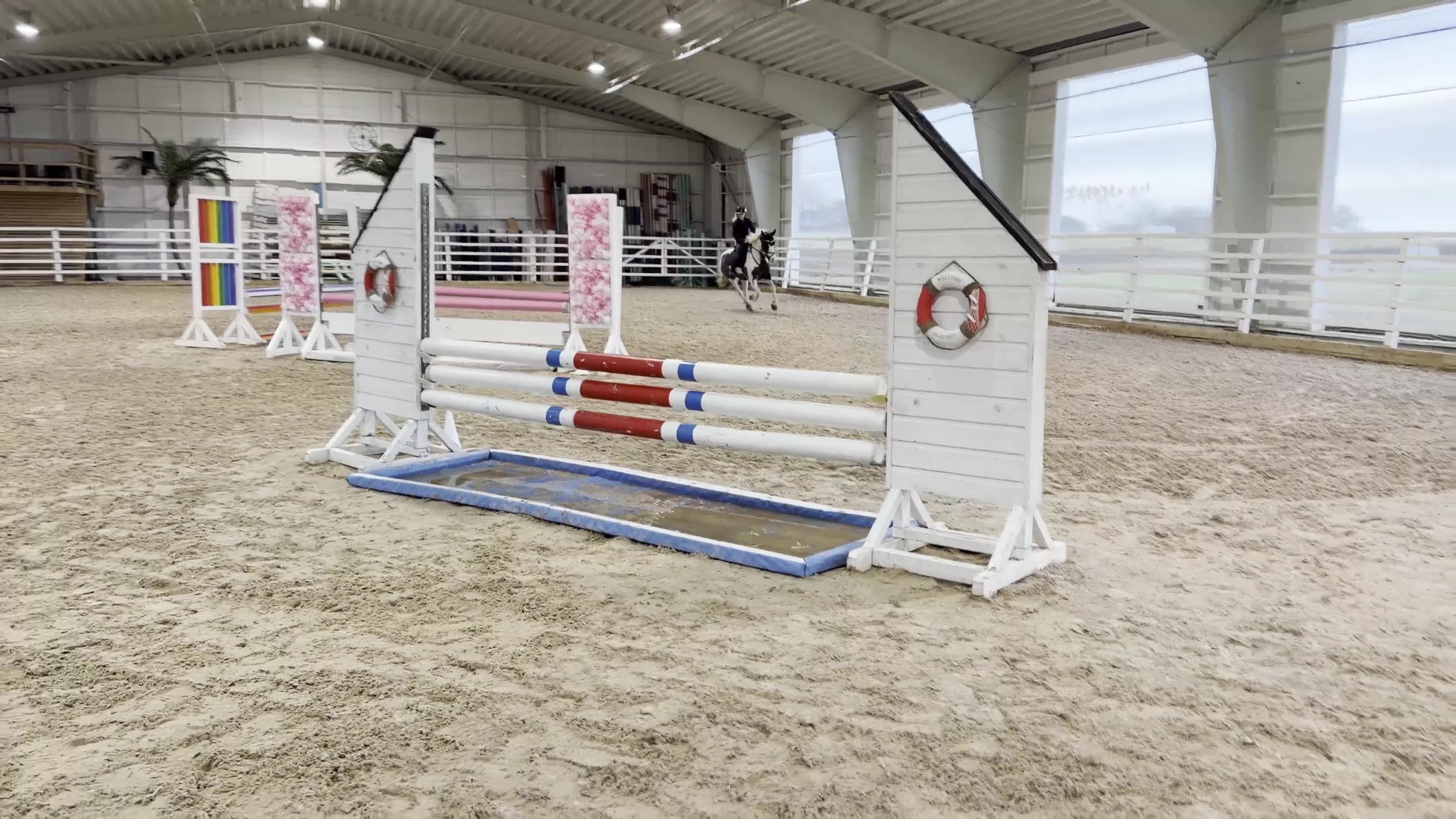 Hoppning hästar till salu: Maxad B-ponny med personlighet och potential i Halmstad - Video 2