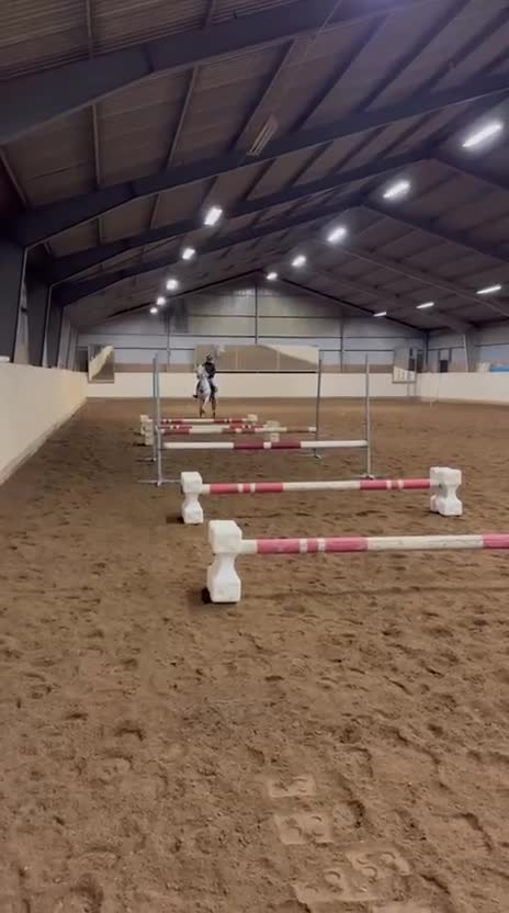 Allround hästar till salu: 💗 Moyvilla Lady - Bildbar kvalitetsponny  - Video 3