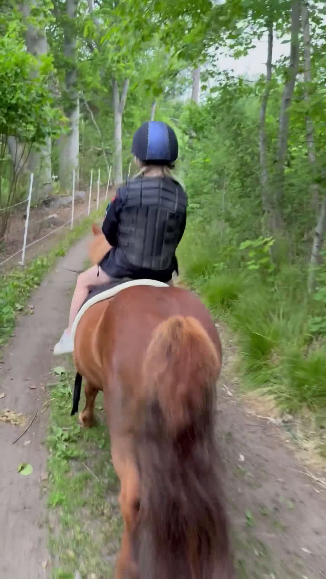  medryttarhäst finnes: Shettis söker ev medryttare 🦄 i Västerhaninge - Video 1
