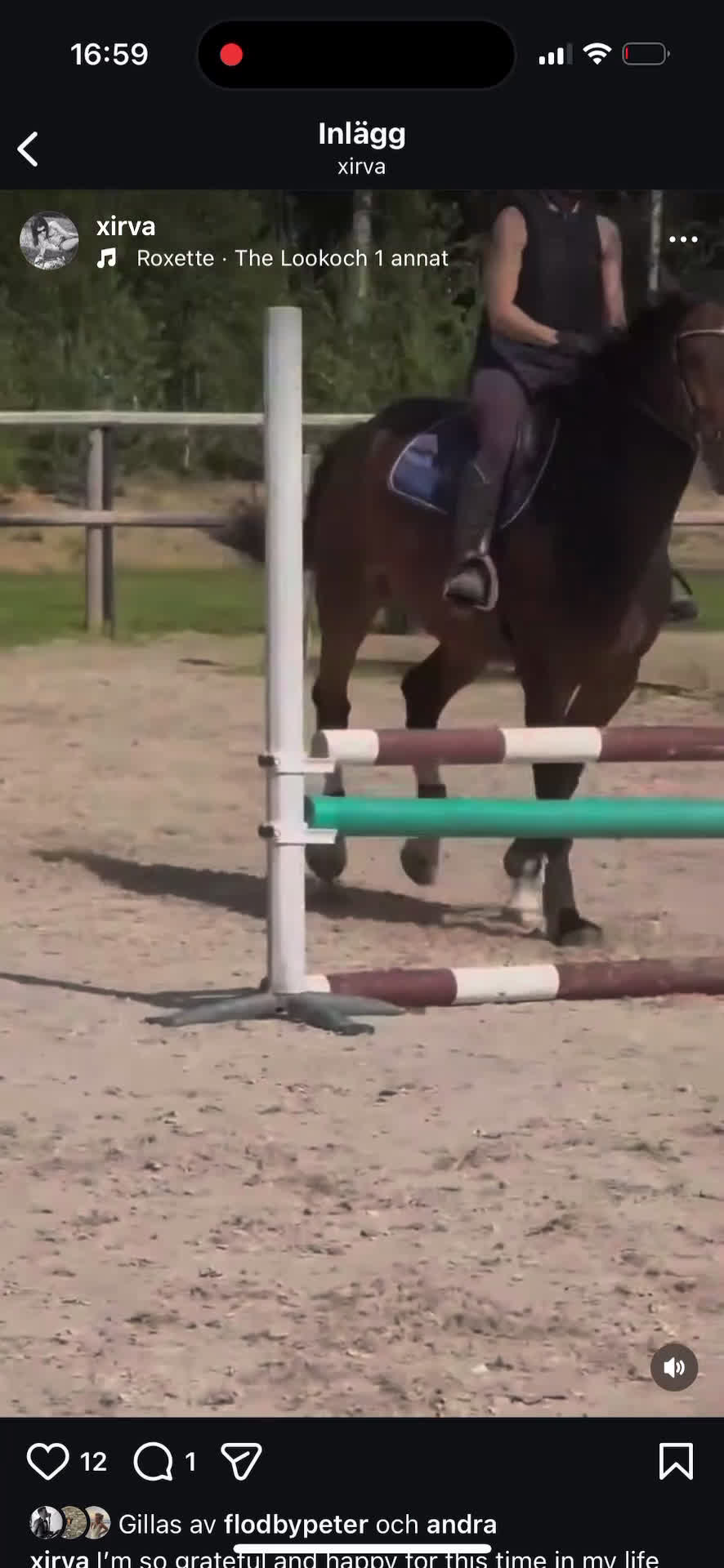  medryttarhäst finnes: Erfaren medryttare till häftig Swb hopp/dressyr i Västerhaninge - Video 4