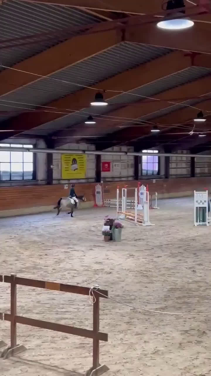 Allround hästar till salu: Snygg ungponny med mycket kapacitet NYTT PRIS i Sala - Video 1