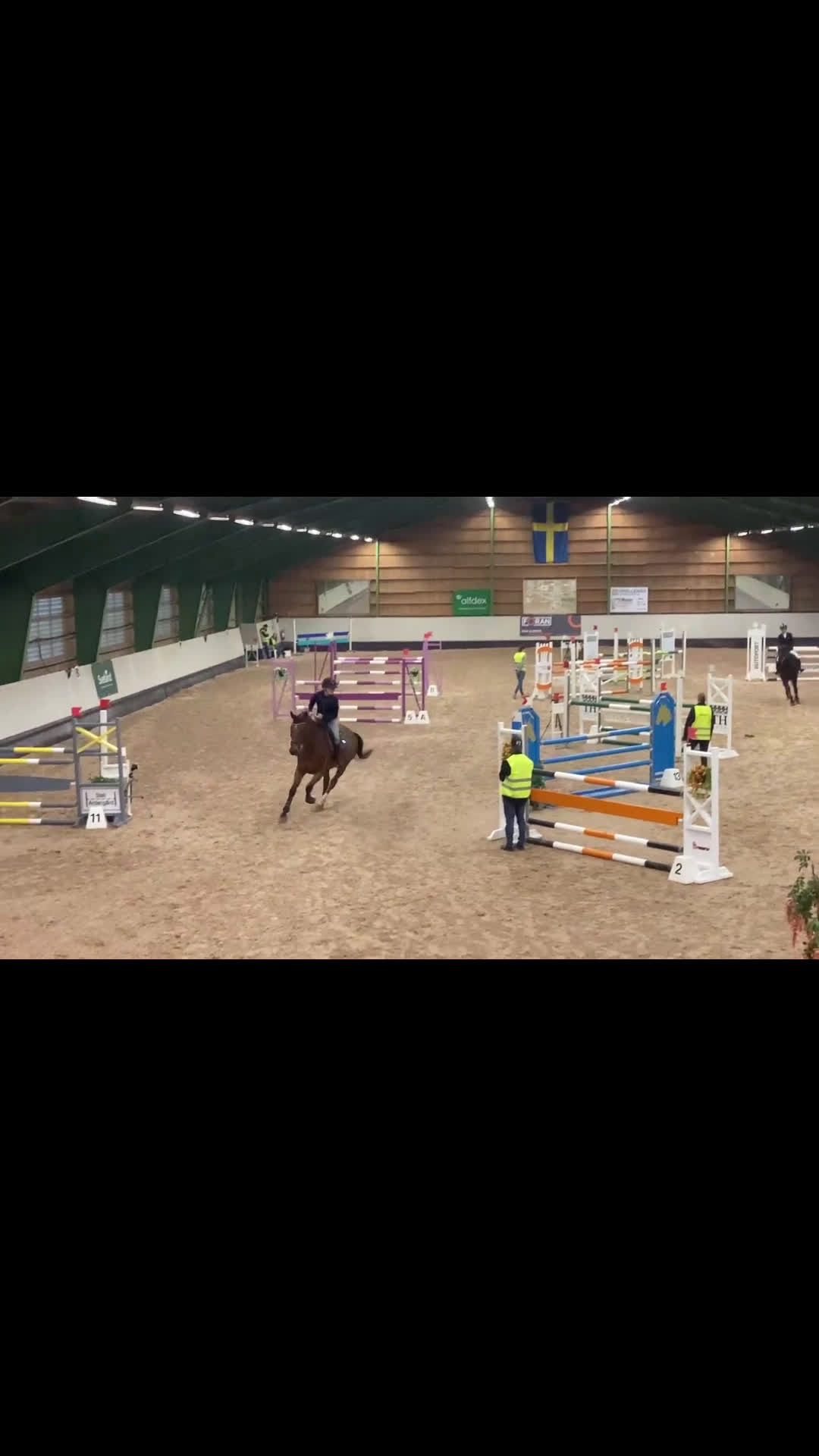 Hoppning hästar till salu: Children häst i Höör - Video 1