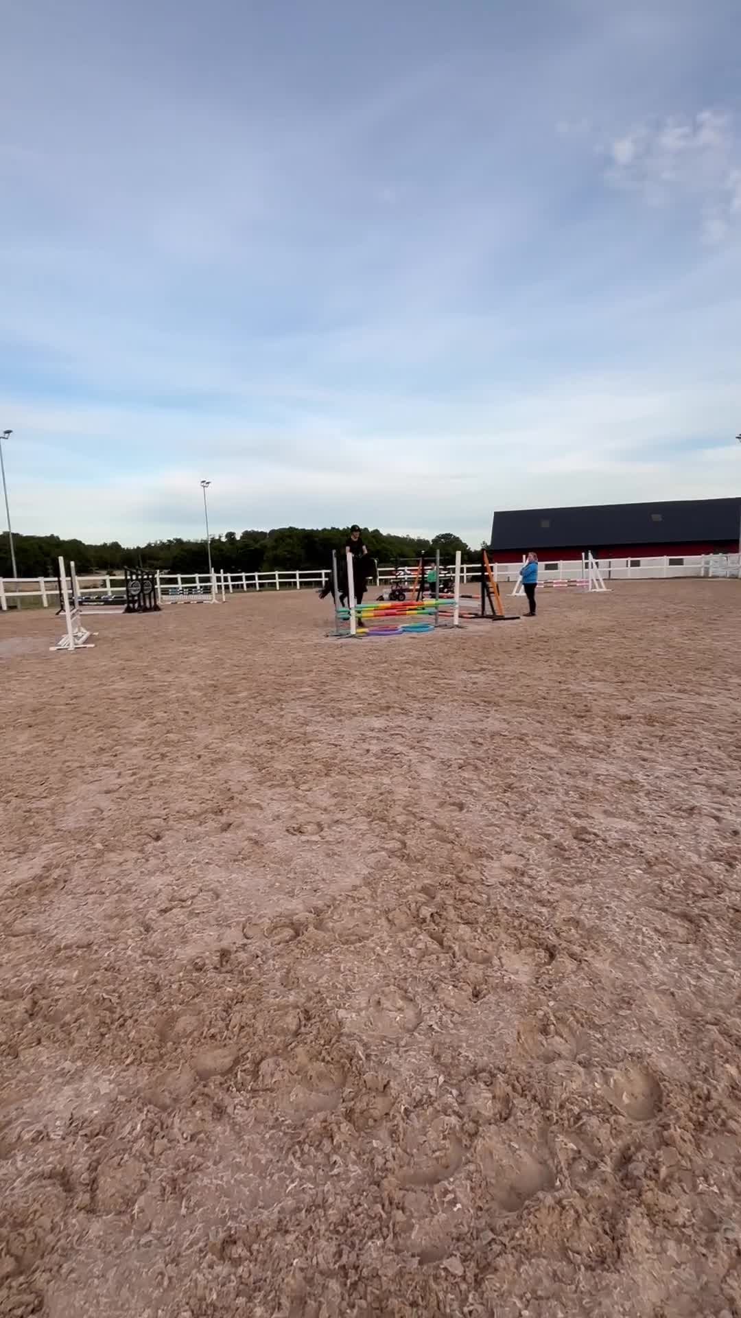 Hoppning hästar till salu: Underbar & vacker 4-åring - Video 3
