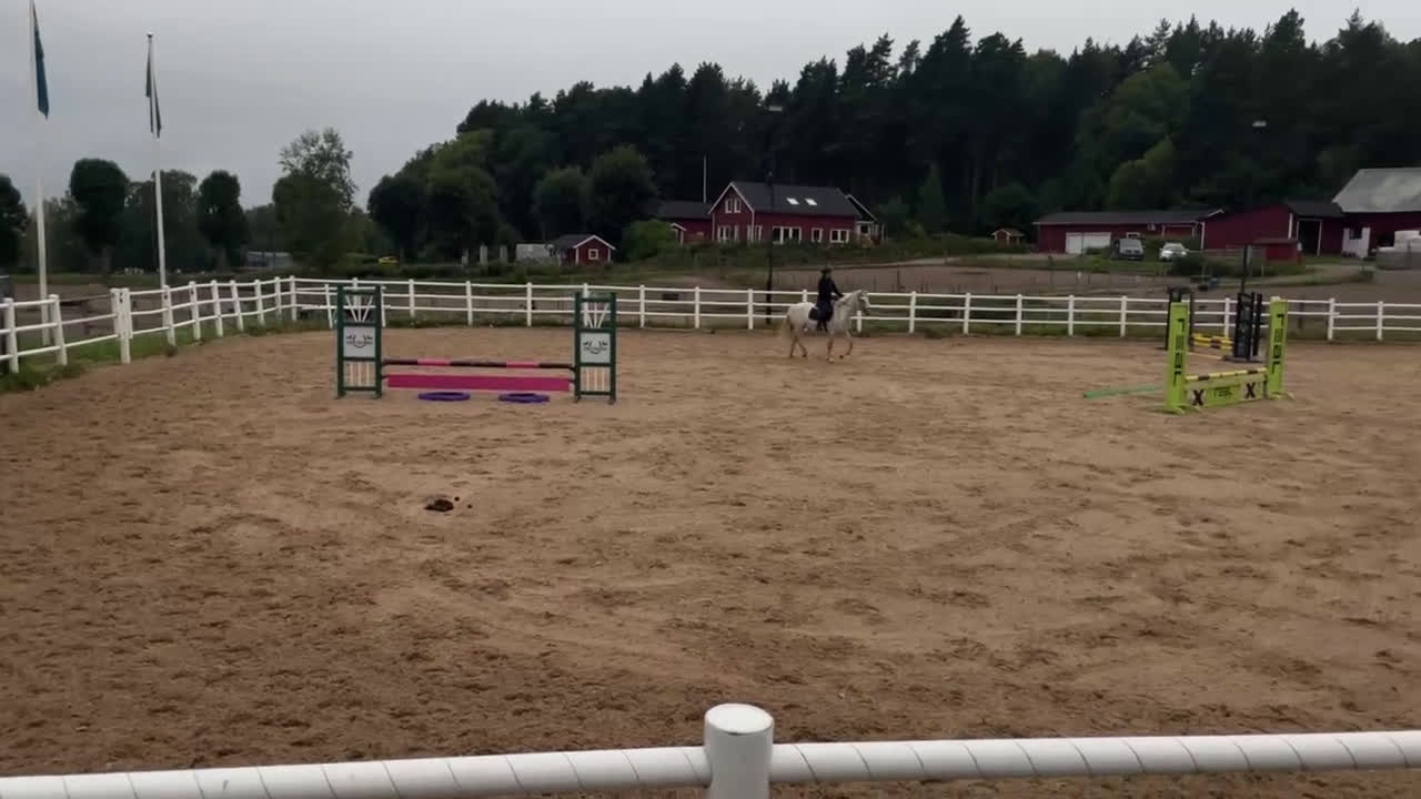 Allround hästar till salu: Utvecklingsbar ponny säljes - Video 2