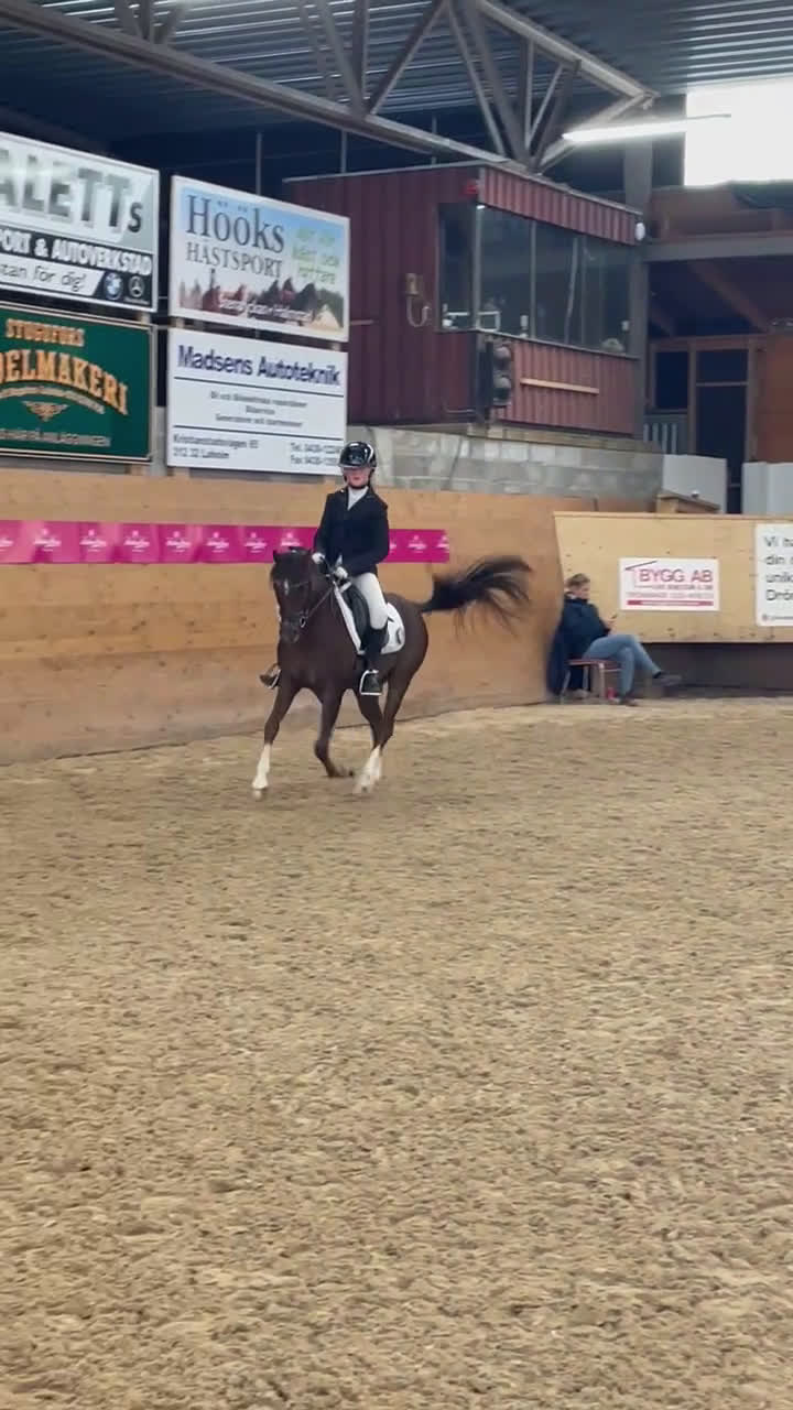Dressyr hästar till salu: Trygg, bästa kompis i dressyr i Kil - Video 3