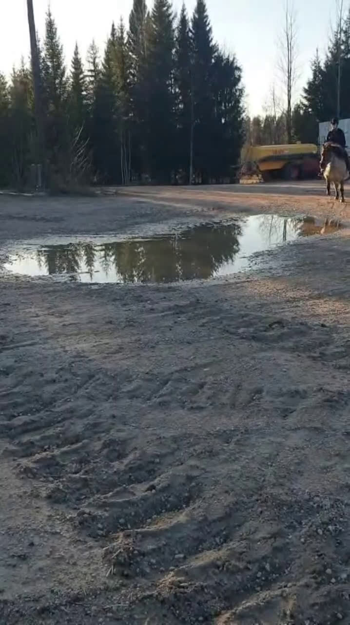 Hoppning hästar till salu: Charmig ponny för den tuffa ryttaren! - Video 1